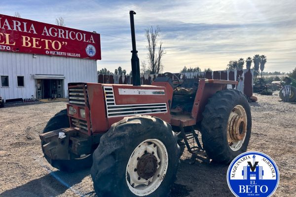 WhatsApp Image 2025-07-24 at 4.47.42 PM (4)