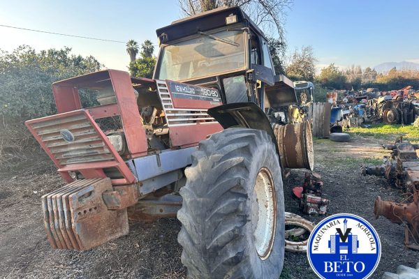 WhatsApp Image 2025-07-24 at 4.48.04 PM (1)