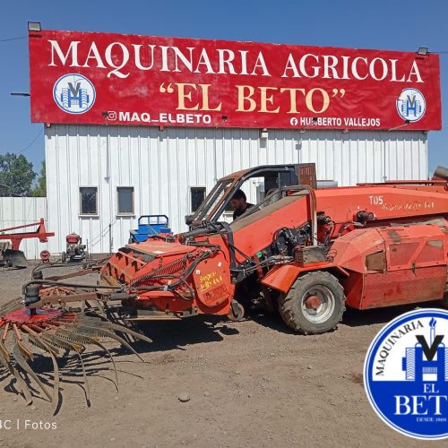 WhatsApp Image 2025-12-05 at 11.08.09 AM