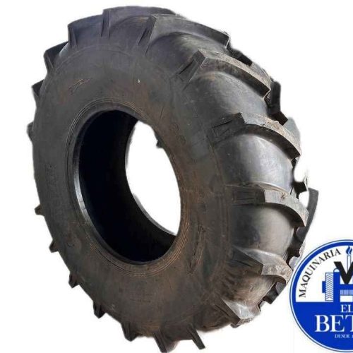 WhatsApp Image 2025-12-11 at 12.29.15 PM