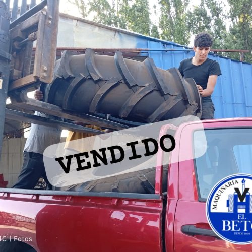 WhatsApp Image 2025-12-11 at 12.40.22 PM